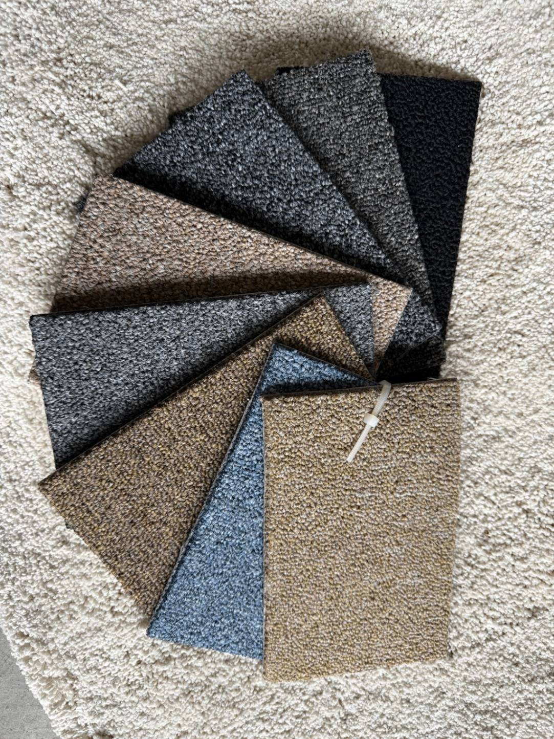 Mostruário de cores e texturas para carpetes